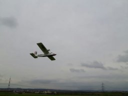 2017 Abfliegen