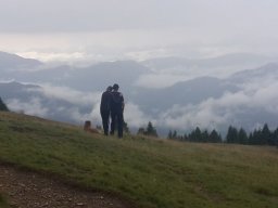 2017 Gaugen