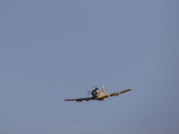 2017 Wurstfliegen