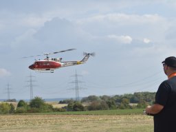 Würstchenfliegen