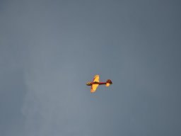 Würstchenfliegen