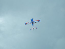 Würstchenfliegen