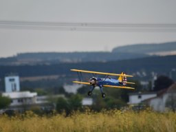 Würstchenfliegen
