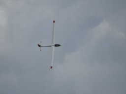 Würstchenfliegen