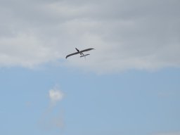 Würstchenfliegen