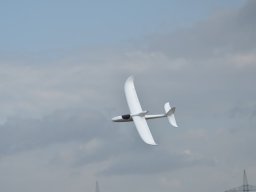 Würstchenfliegen