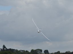 Würstchenfliegen