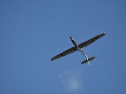 Würstchenfliegen