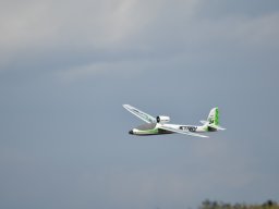 Würstchenfliegen