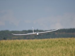 Würstchenfliegen