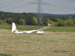 Würstchenfliegen