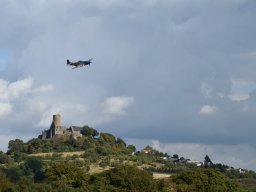 Würstchenfliegen