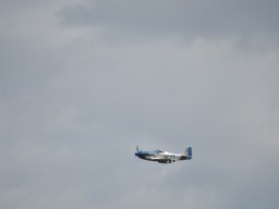 Würstchenfliegen