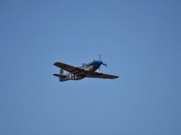 Würstchenfliegen