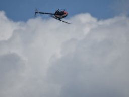 Würstchenfliegen