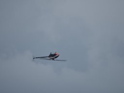 Würstchenfliegen