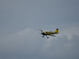 Würstchenfliegen