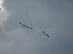 Würstchenfliegen