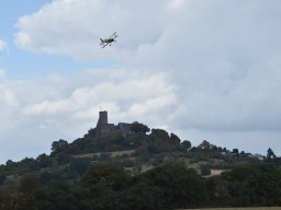 Würstchenfliegen