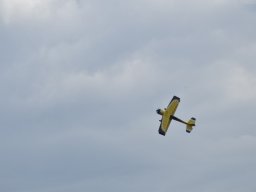 Würstchenfliegen
