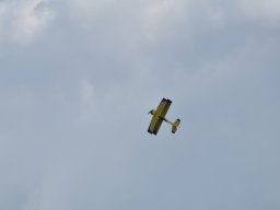 Würstchenfliegen