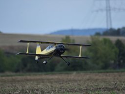Würstchenfliegen