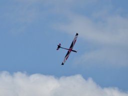 Würstchenfliegen
