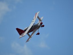 Würstchenfliegen