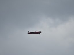 Würstchenfliegen