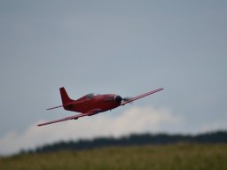 Würstchenfliegen