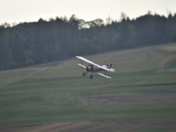 Würstchenfliegen