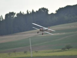 Würstchenfliegen