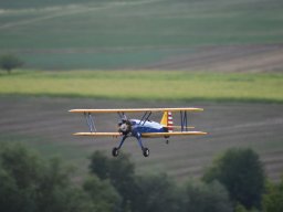 Würstchenfliegen
