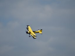 Würstchenfliegen