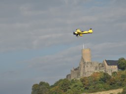 Würstchenfliegen