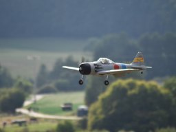 Würstchenfliegen