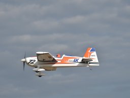 Würstchenfliegen
