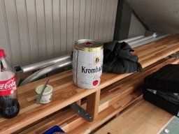 Hallenfliegen 3