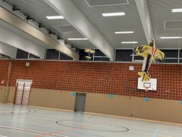 Hallenfliegen 3