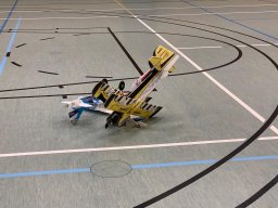 Hallenfliegen 3