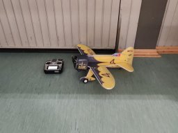 Hallenfliegen 3