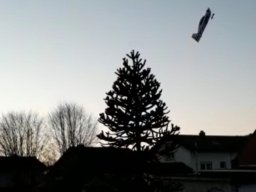 Hallenfliegen 3