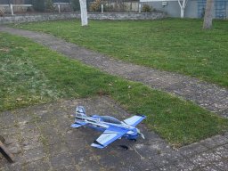 Hallenfliegen 3