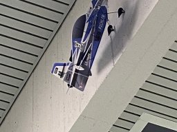 Hallenfliegen 3