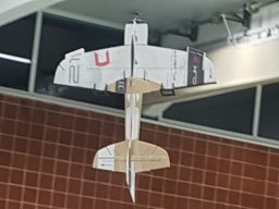 Hallenfliegen 3