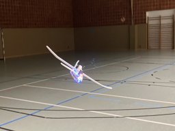 Hallenfliegen 2024